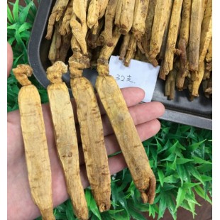 100% Best Asian Panax Korean Red Ginseng Root Highest quality , 6years old